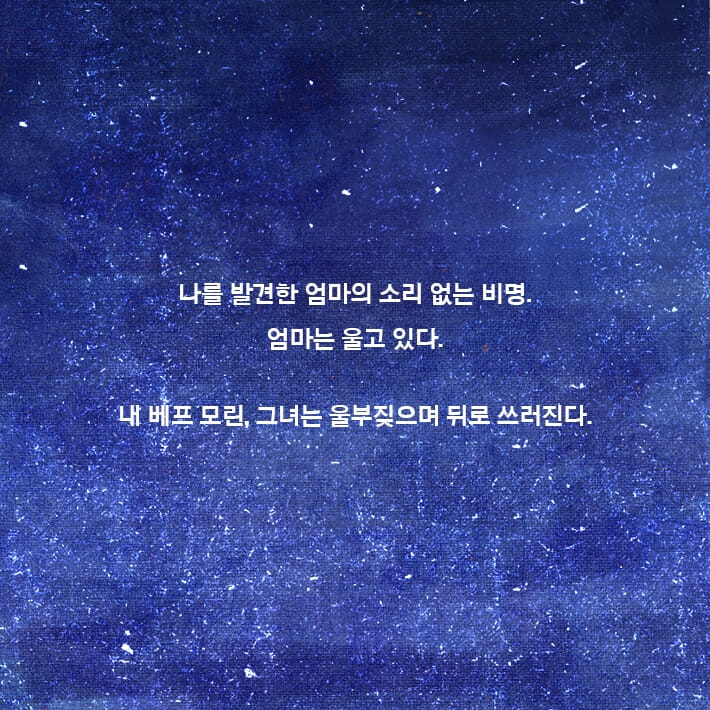 카드뉴스3