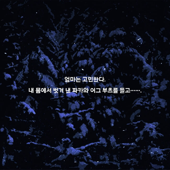 카드뉴스7