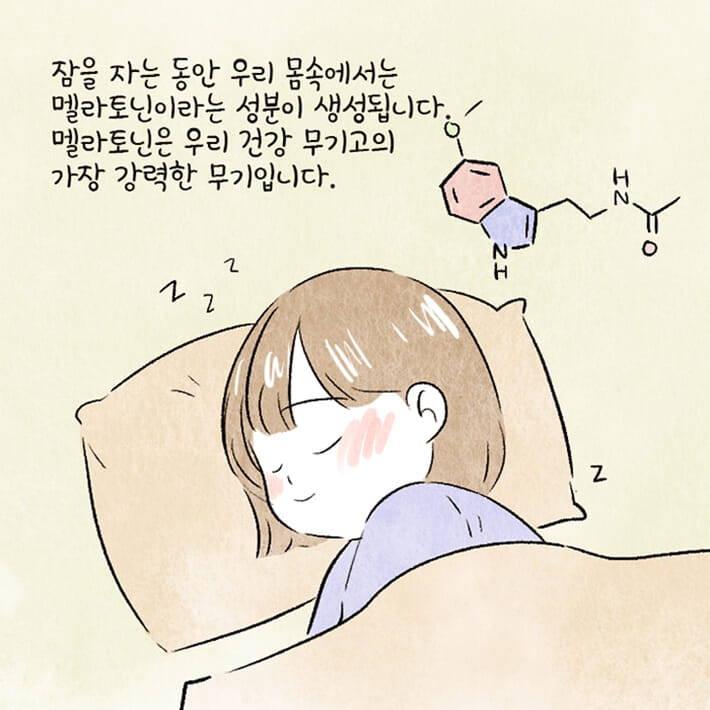 카드뉴스11
