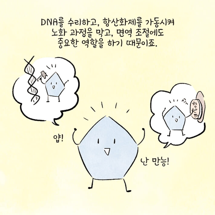 카드뉴스12