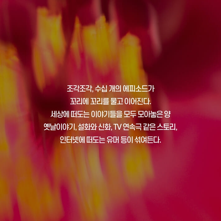 카드뉴스2