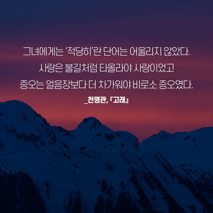 카드뉴스7