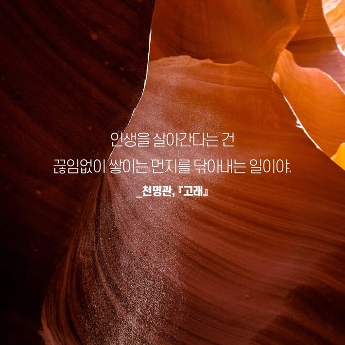 카드뉴스8