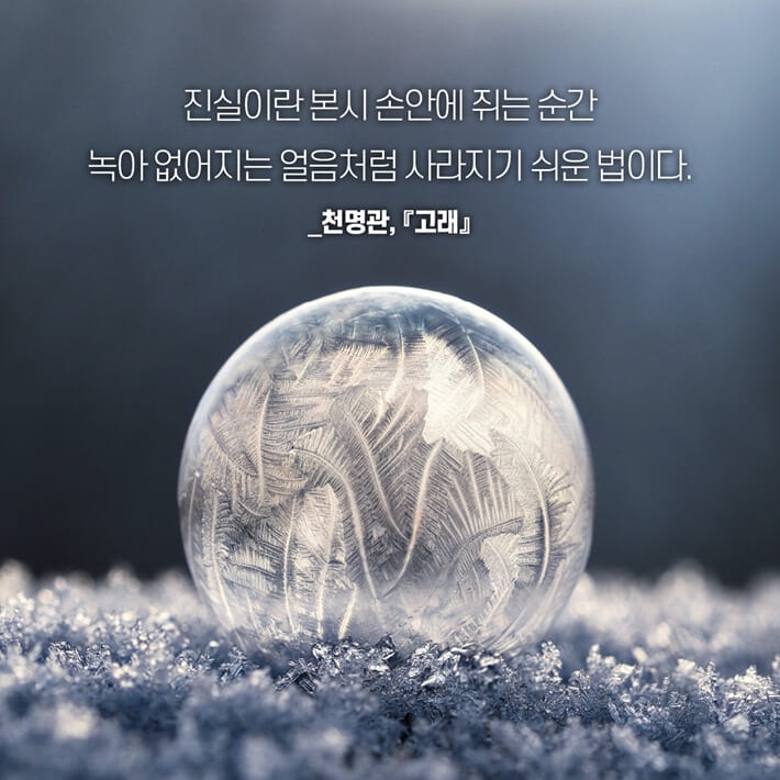 카드뉴스11
