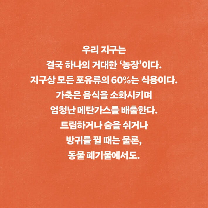 카드뉴스4