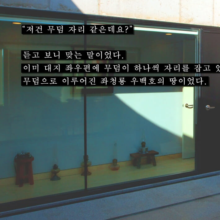 카드뉴스6