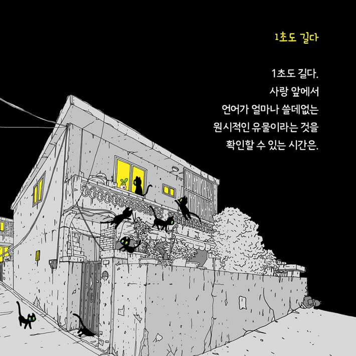 카드뉴스4