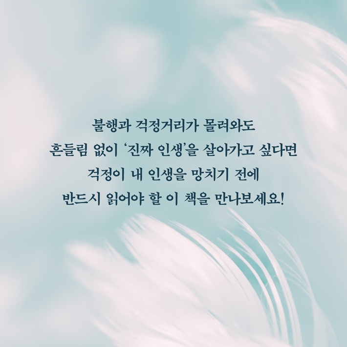 카드뉴스24