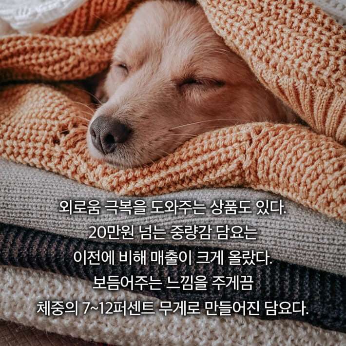 카드뉴스8