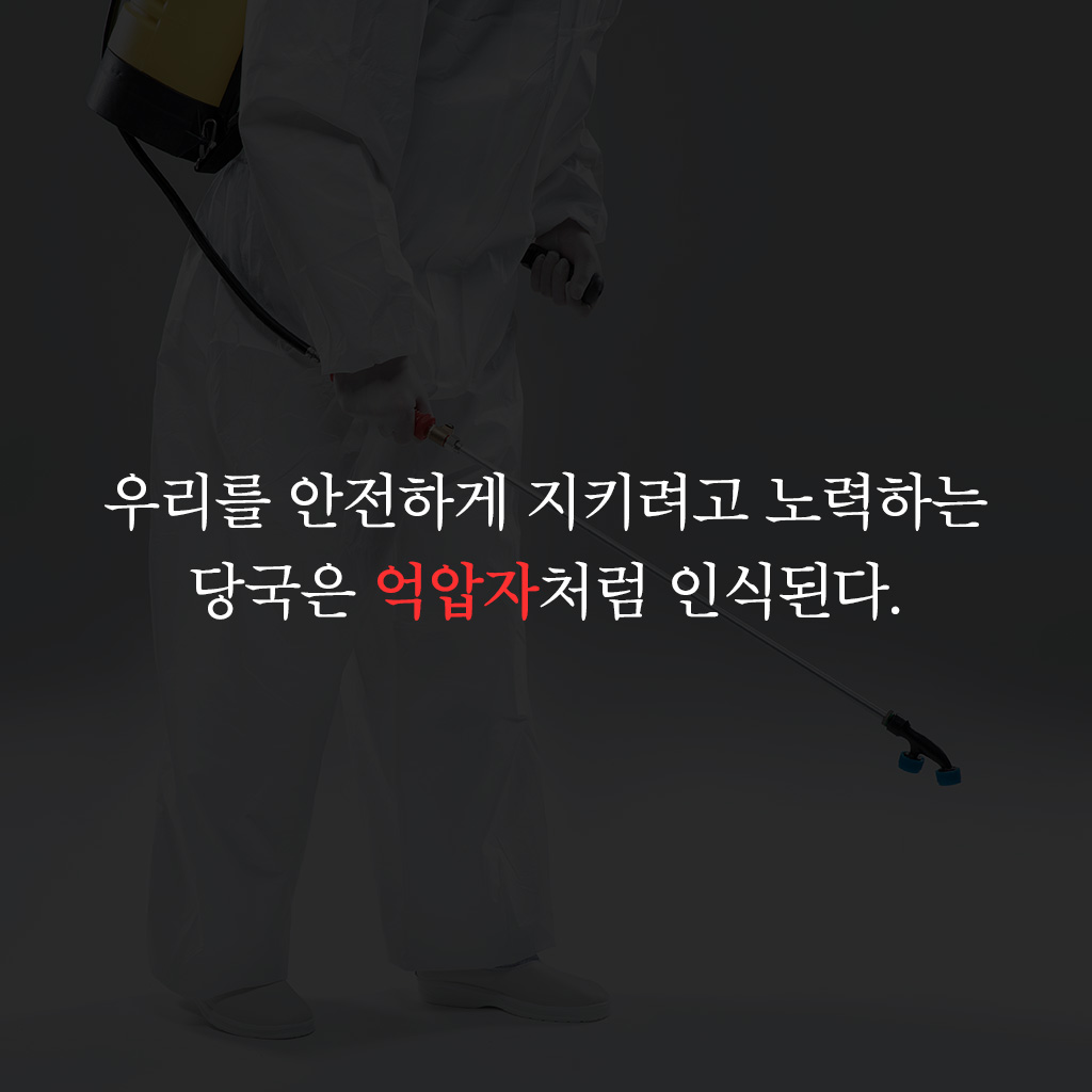 카드뉴스4