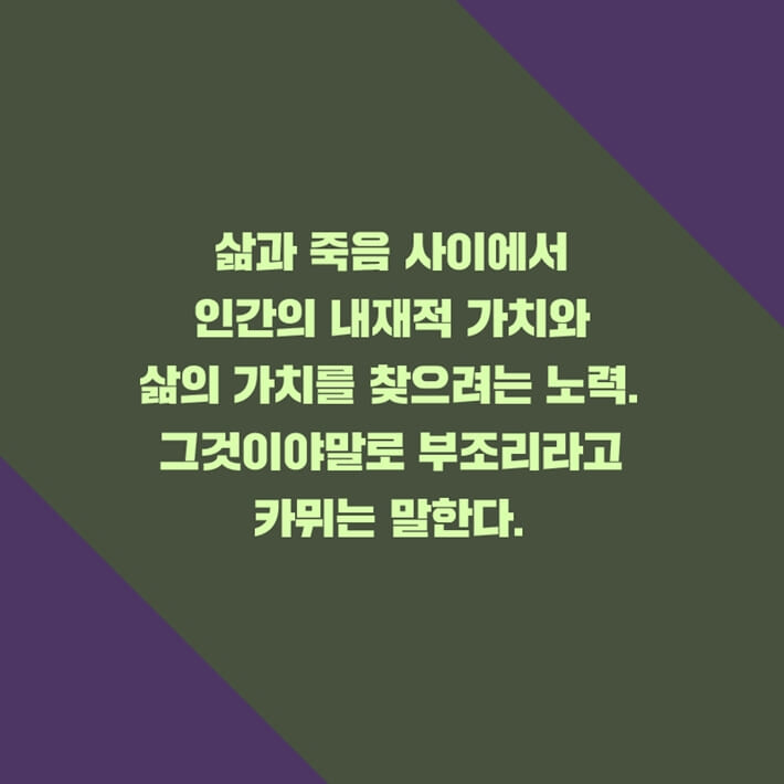 카드뉴스3