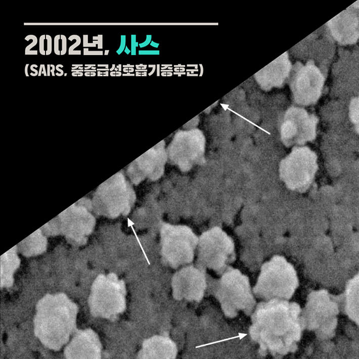카드뉴스1