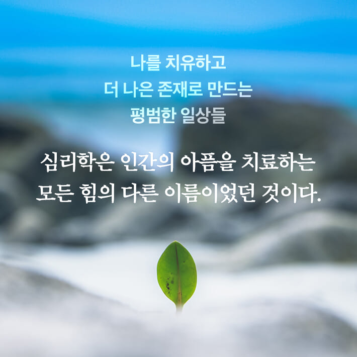 카드뉴스4