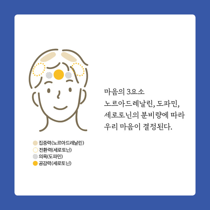 카드뉴스5