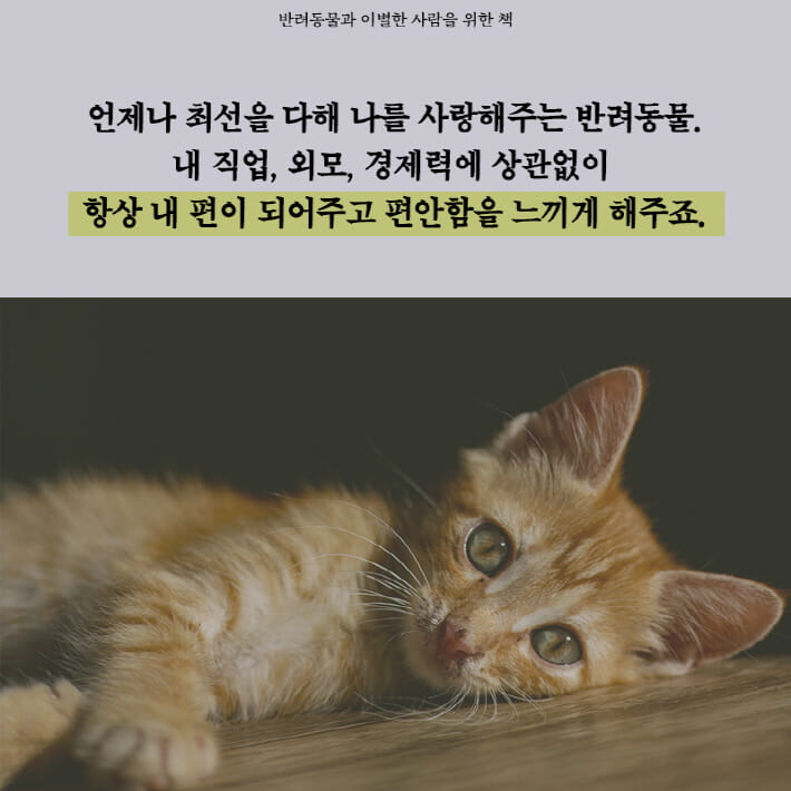 카드뉴스0
