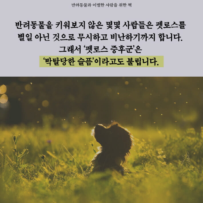 카드뉴스2
