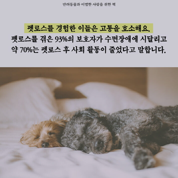 카드뉴스3