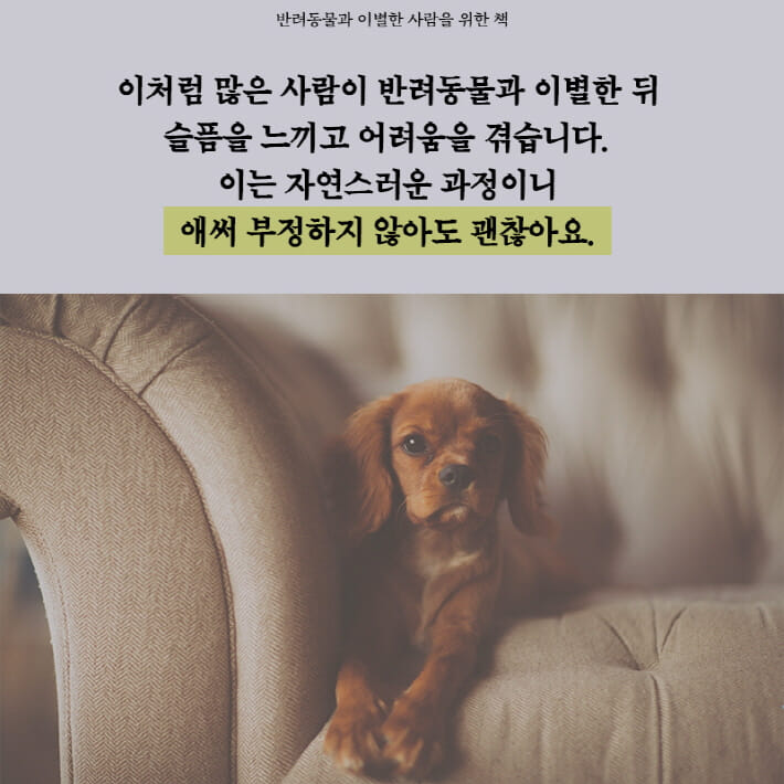 카드뉴스4