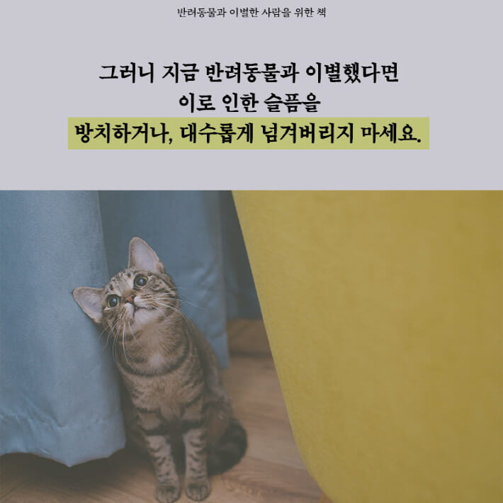 카드뉴스5
