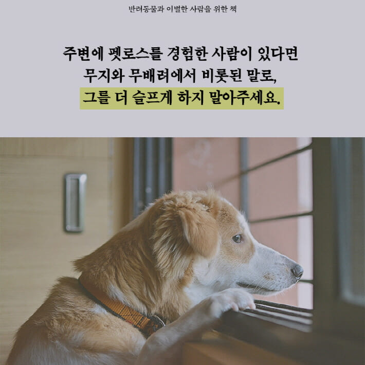 카드뉴스6