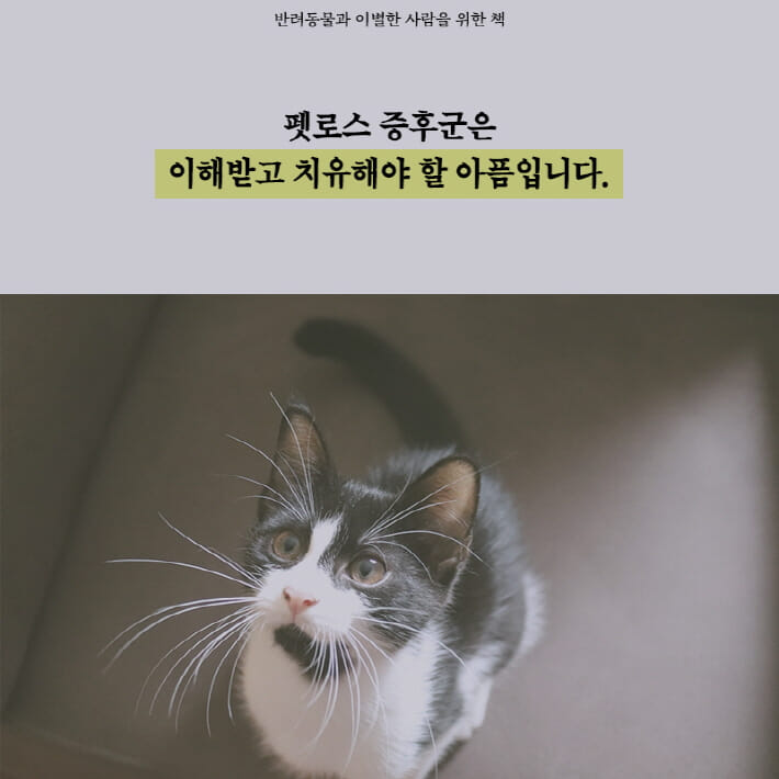 카드뉴스7