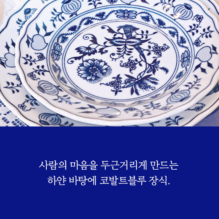 카드뉴스1