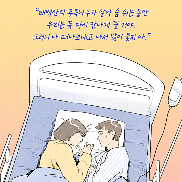 카드뉴스18