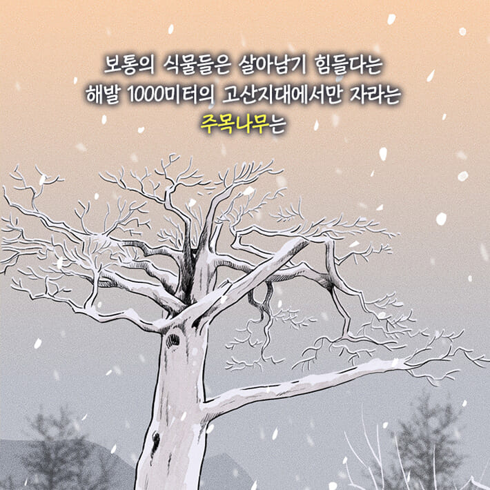 카드뉴스19