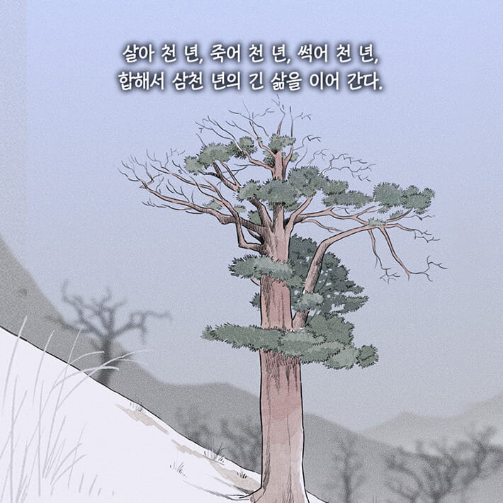 카드뉴스20