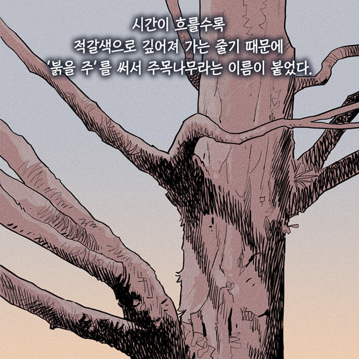 카드뉴스21
