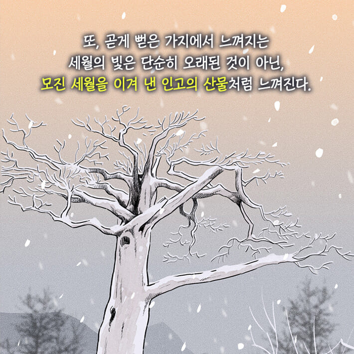 카드뉴스22
