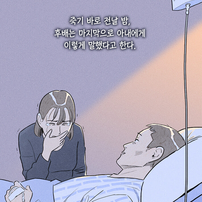 카드뉴스24