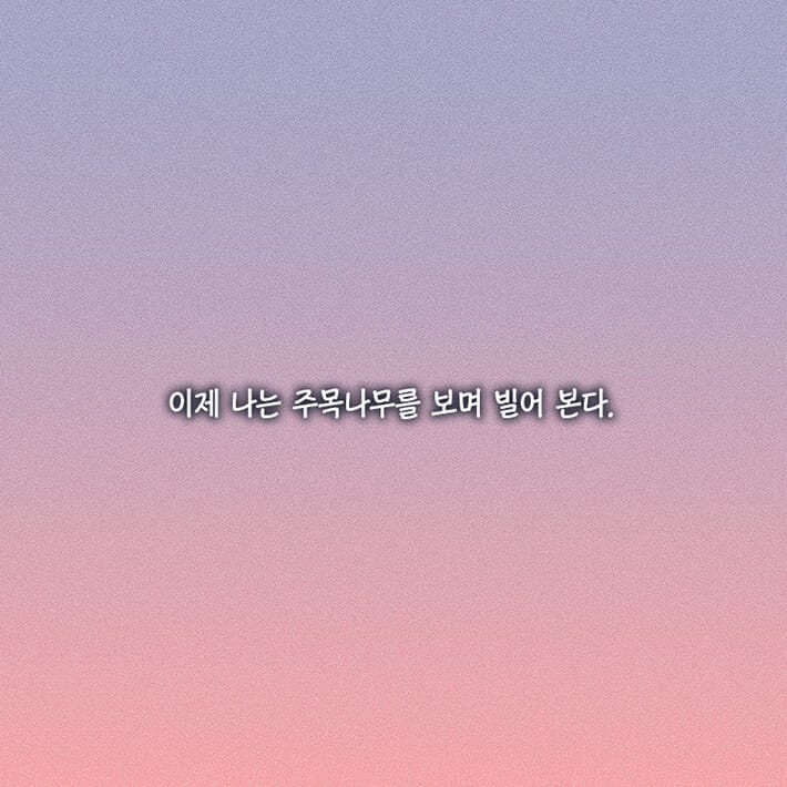 카드뉴스26