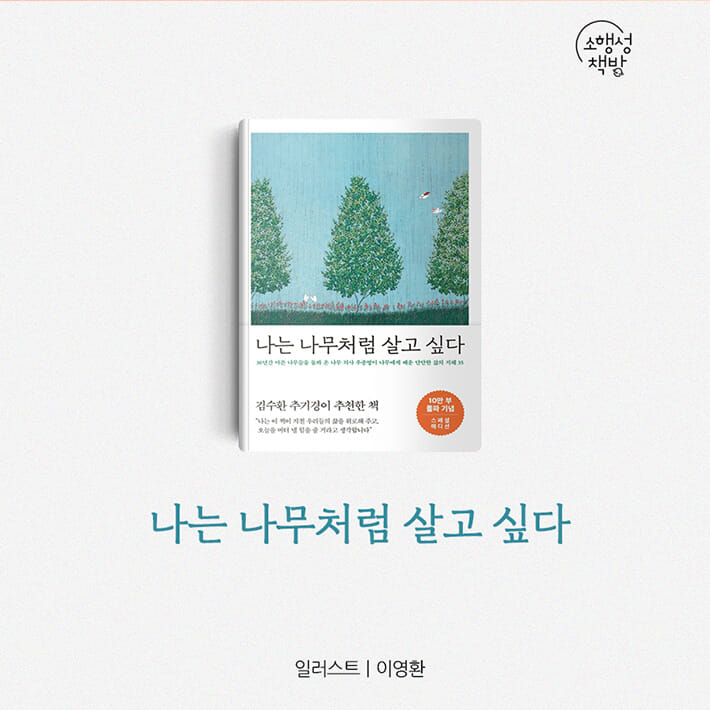 카드뉴스29