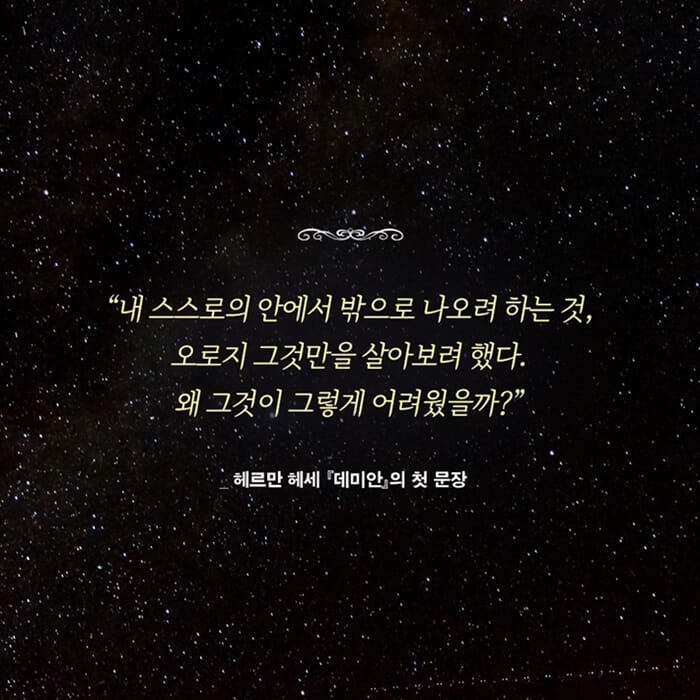 카드뉴스2