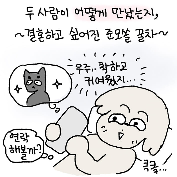 카드뉴스2