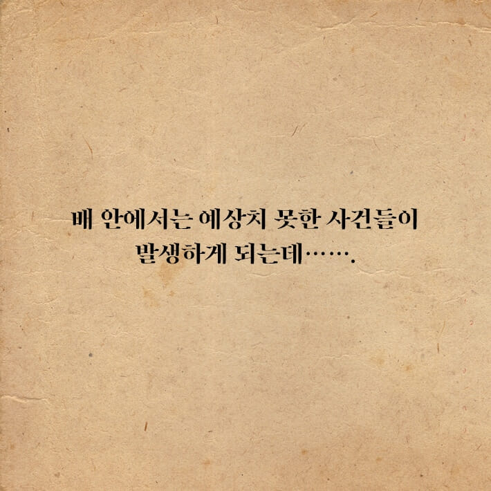 카드뉴스14