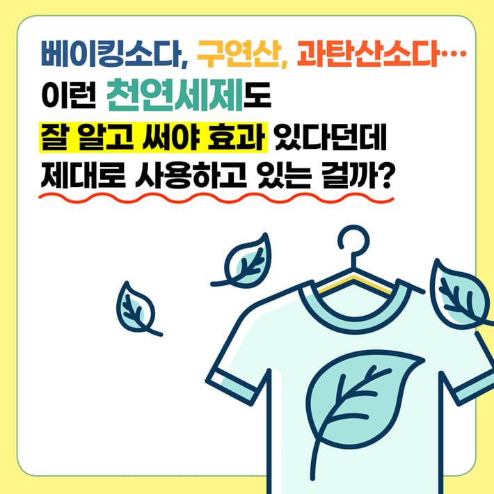 카드뉴스2