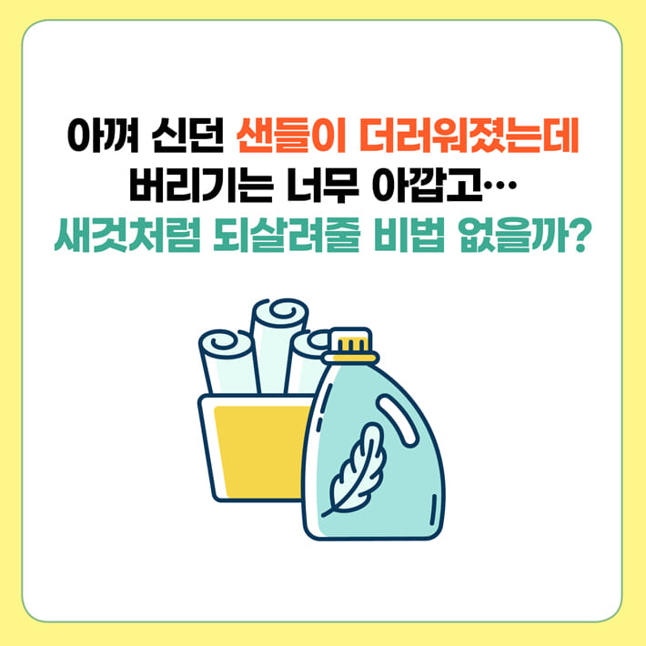 카드뉴스5