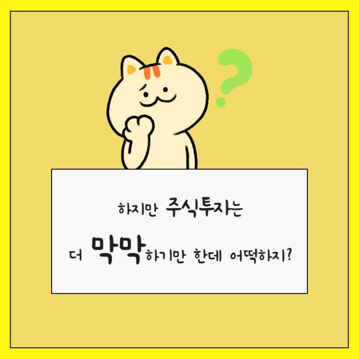 카드뉴스3