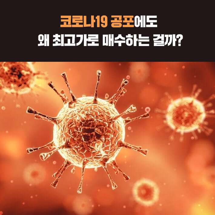 카드뉴스2