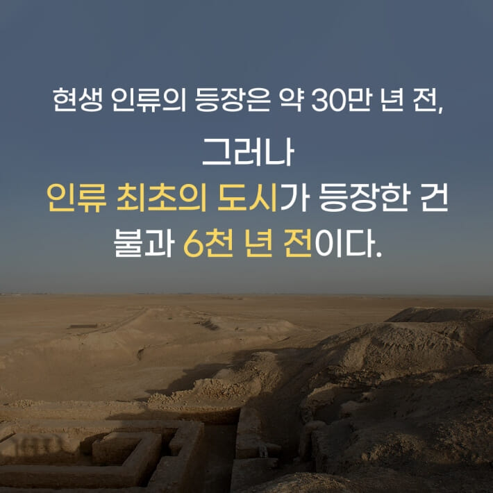 카드뉴스2