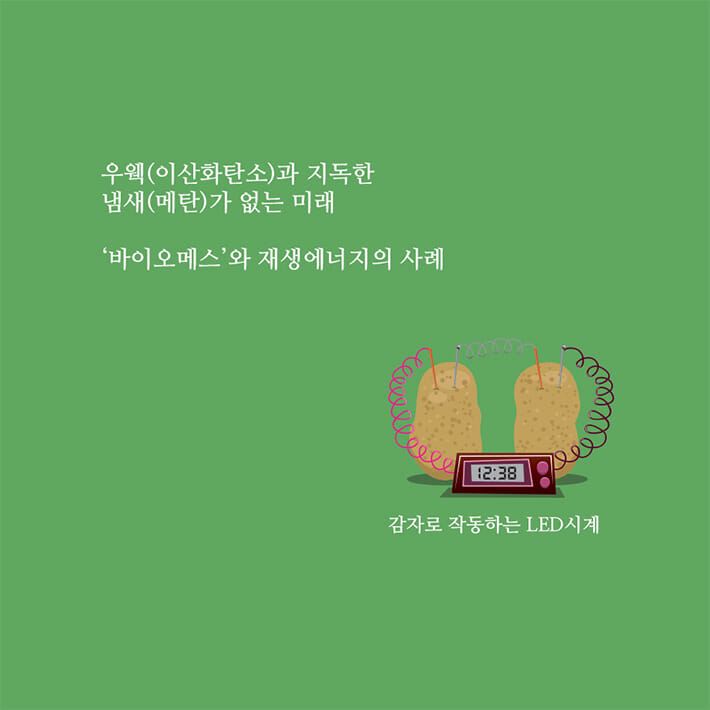 카드뉴스4