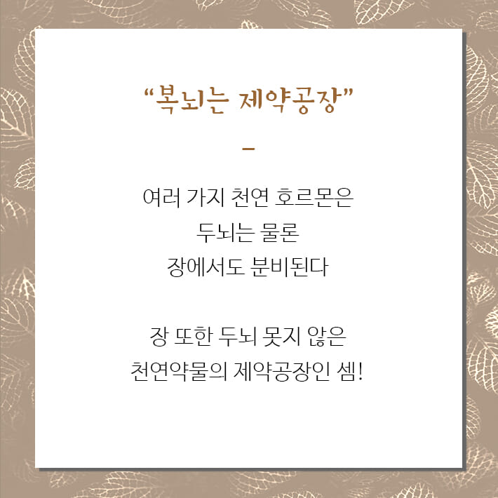 카드뉴스2
