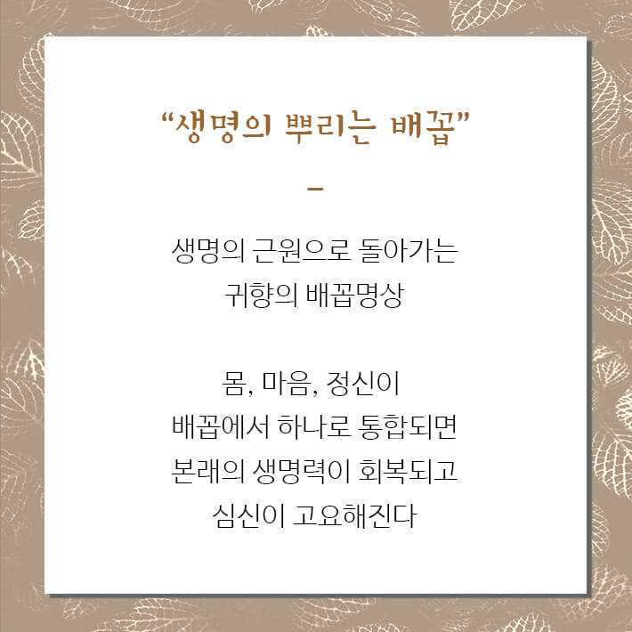 카드뉴스5