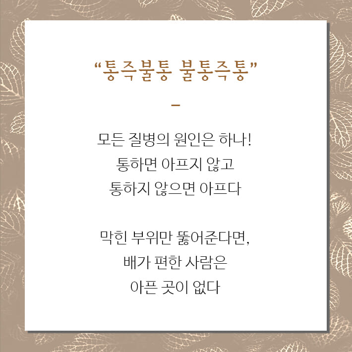 카드뉴스6