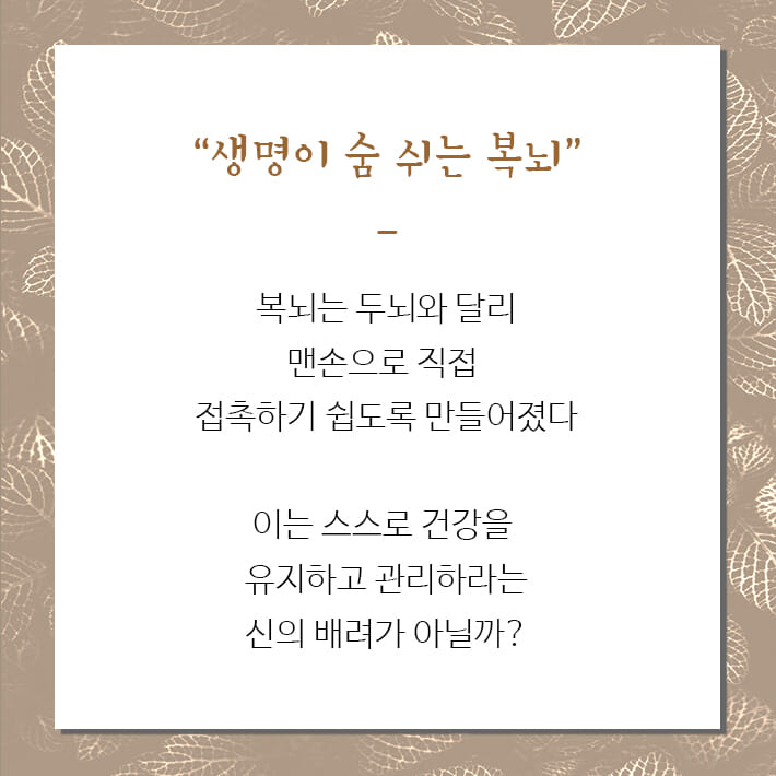 카드뉴스7