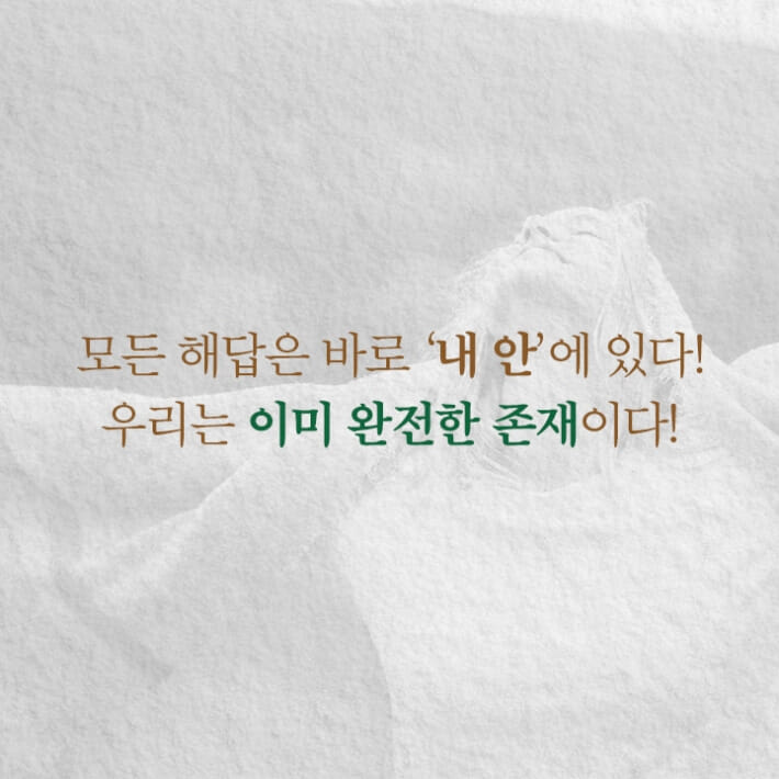카드뉴스8
