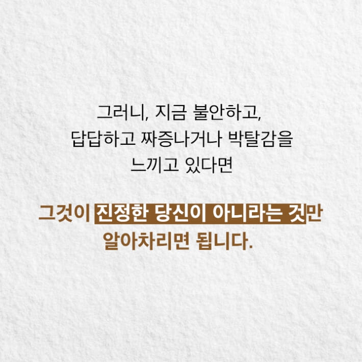 카드뉴스11