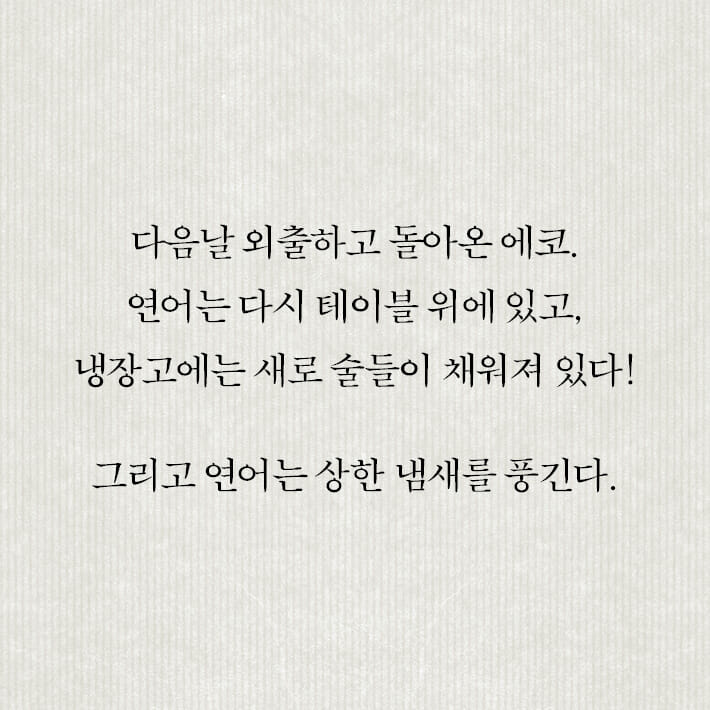 카드뉴스11